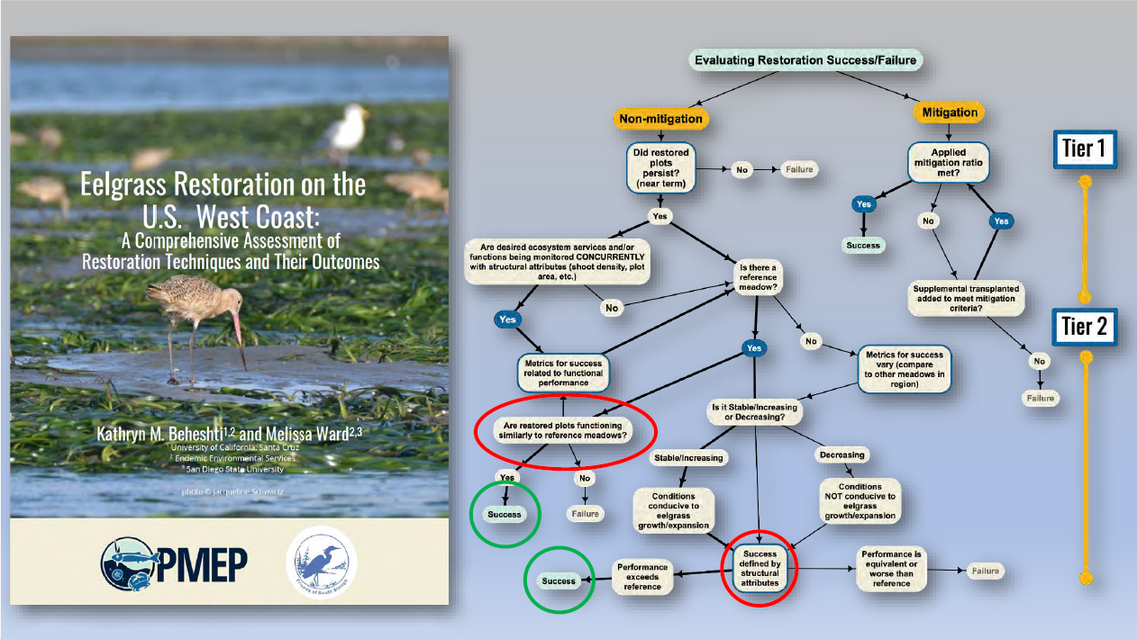 What does Restoration Success Look Like?