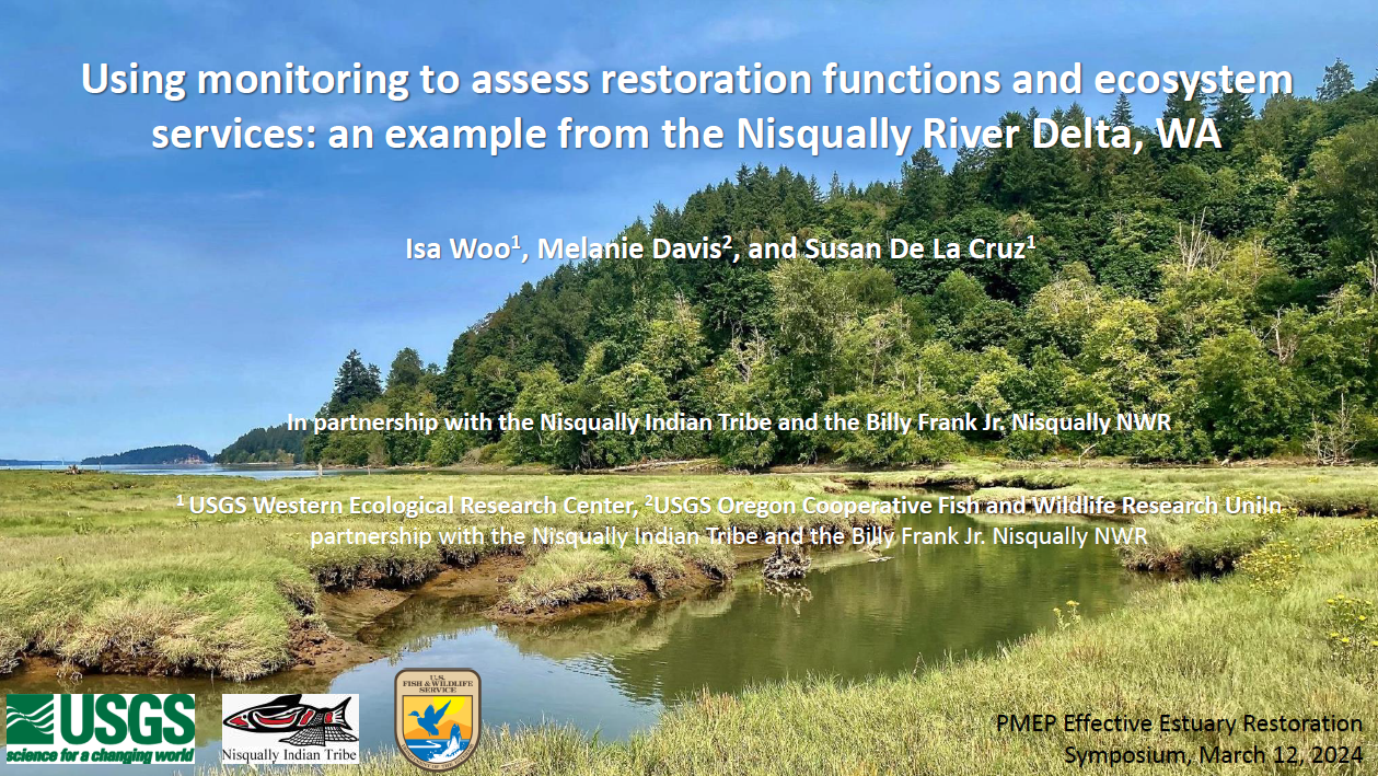 Using monitoring to assess restoration functions and ecosystem services: an example from Nisqually River Delta, WA