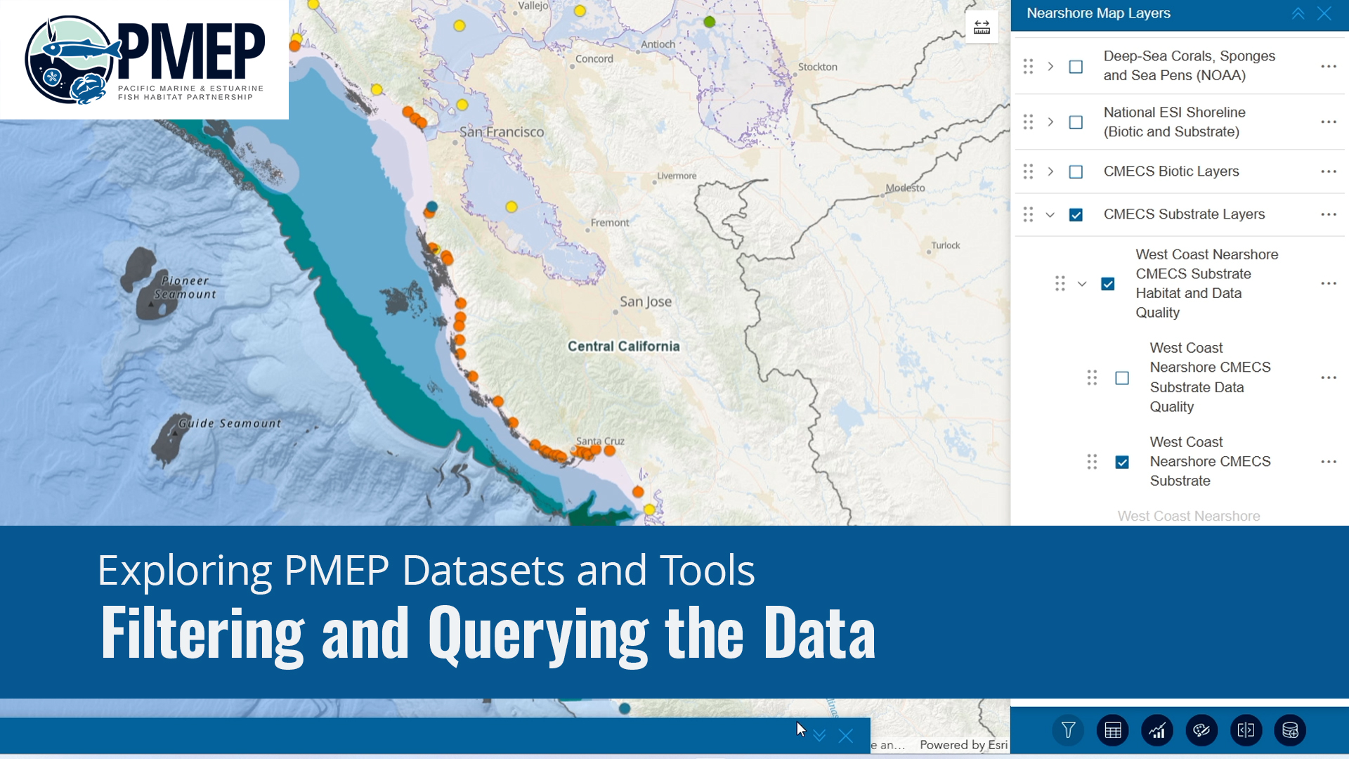 Filtering and Querying Data